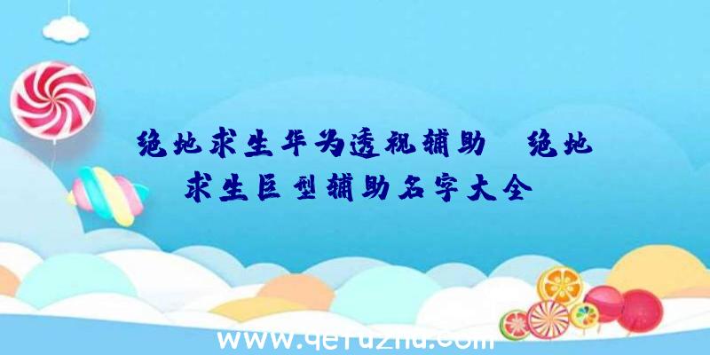 「绝地求生华为透视辅助」|绝地求生巨型辅助名字大全